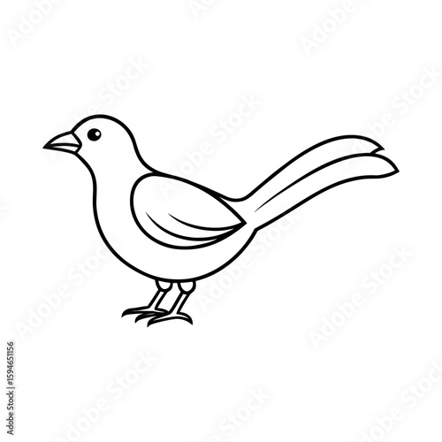 A thessa line art vector illustration.