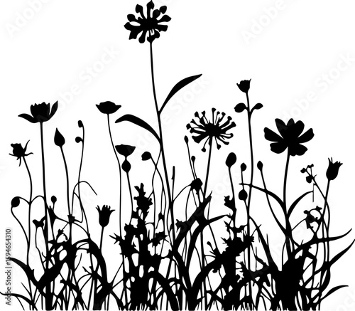 Wildflower and Tall Grasses Silhouette: A detailed black silhouette of a thriving meadow, showcasing a variety of wildflowers and tall grasses with distinct shapes and seed heads.