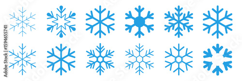 Snowflakes: A collection of exquisitely crafted snowflakes, each possessing unique intricate designs, captures the delicate beauty and complexity of winter. 