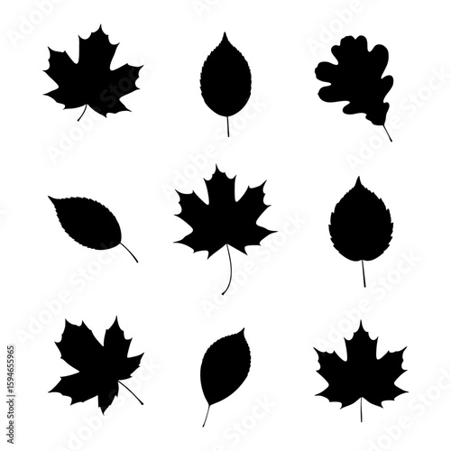Many black leaf silhouettes on white are ideal for nature themed designs, stationery, invitations, backgrounds, and botanical illustrations.