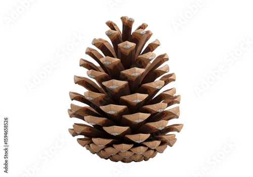 Brown pine cone png on transparent background