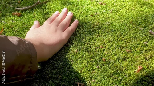 The hand of a child in the sun's rays touches soft green moss in the wild. Concept of nature protection and environmental education for children. Close-up