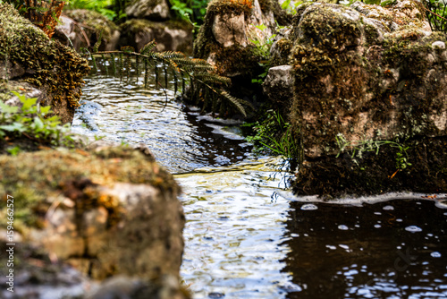 small waterfall in the forest