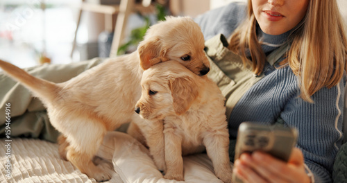 Photography Hands, phone and puppy on bed, home and texting with care, bonding and web chat in morning