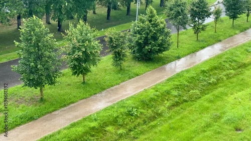 Pedestrian path in the park during summer rain. Wet grass, green trees, and a fresh atmosphere.