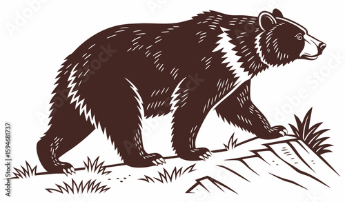 silhouette of a bear