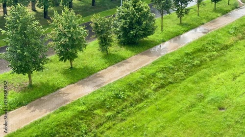 Wet pedestrian path among greenery after summer rain. Quiet and refreshing landscape.
