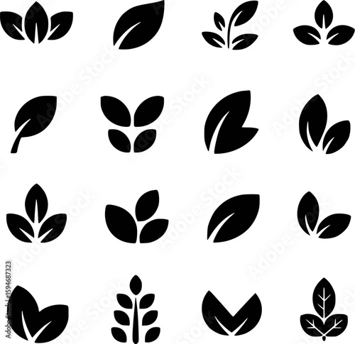 Diverse leaf in black and white leaves plant