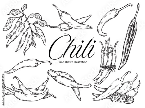 Set of hand drawn chili peppers outline drawing food illustration 2