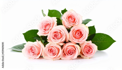 Rose bouquet isolated on transparent background. Mockup template artwork graphic design.