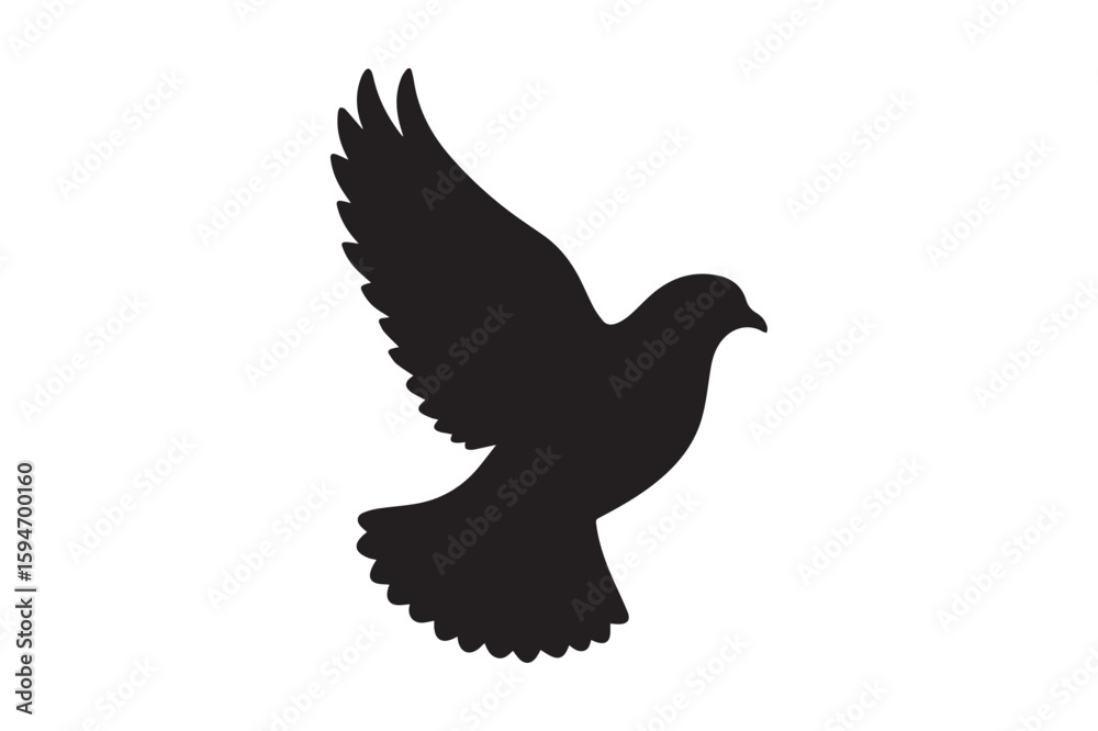 Obraz premium Pigeon