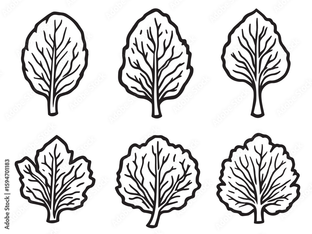 Obraz premium Black and white spinach drawing line art