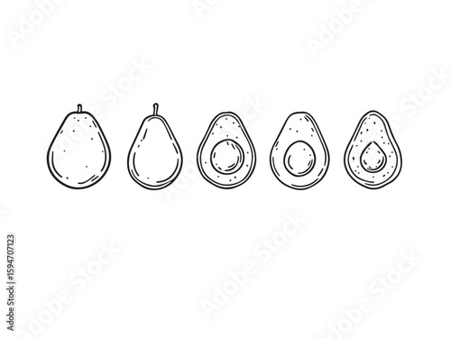 Avocado slice hand drawn sketch vector style