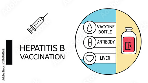 Hepatitis B vaccination concept with syringe, vaccine bottle, and liver diagram

