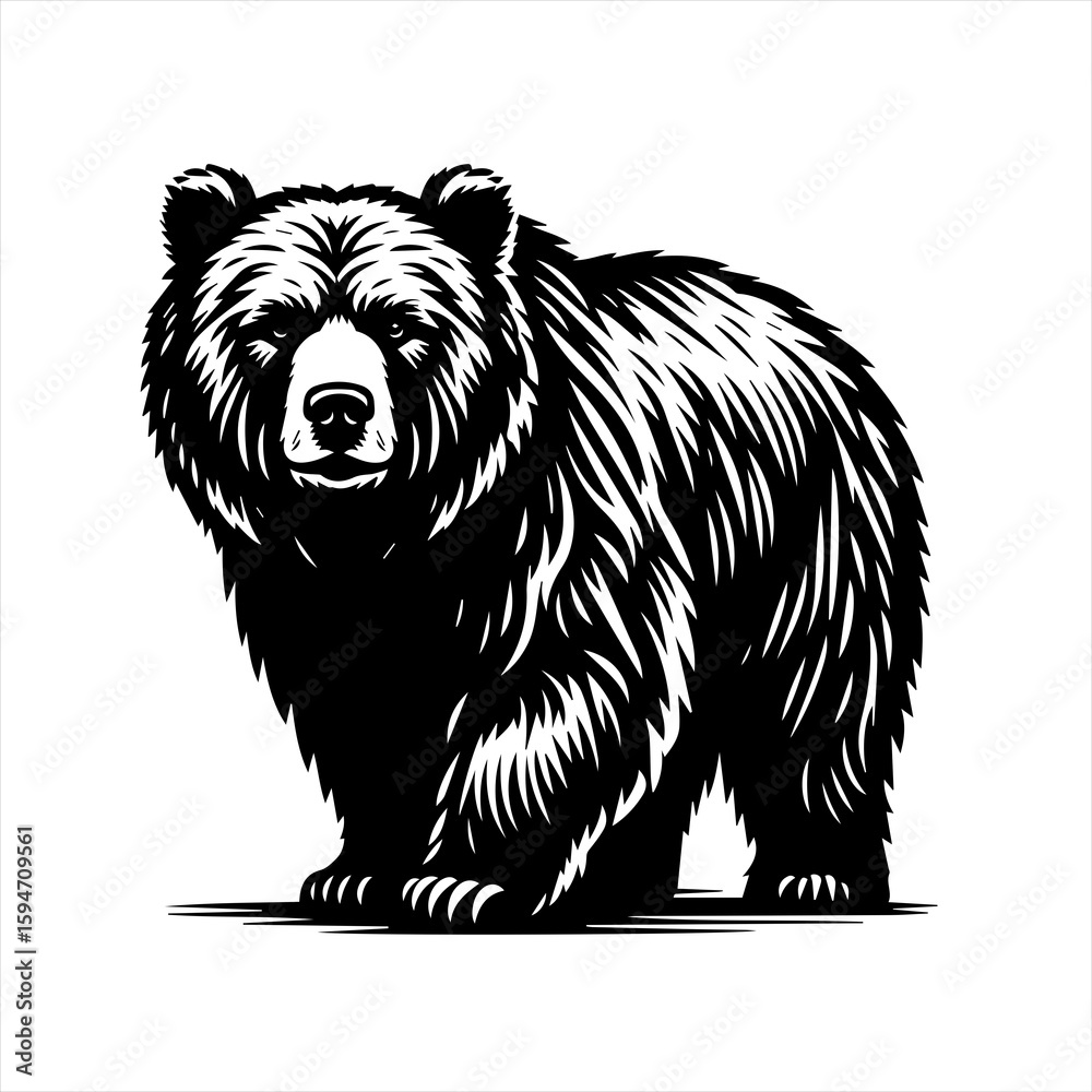 Obraz premium Vector art of grizzly bear standing isolated on white background