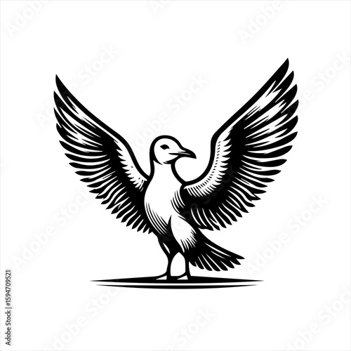 Vector art of seagull with open wings isolated on white
