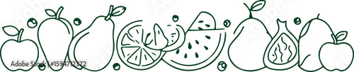 Apples pears citrus watermelon figs border vector