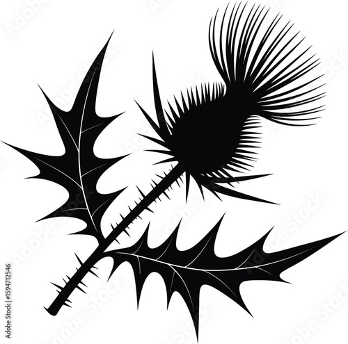 Thistle plant silhouette design