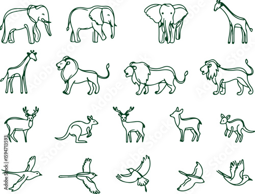 Elephants giraffes lions deer kangaroos birds vector