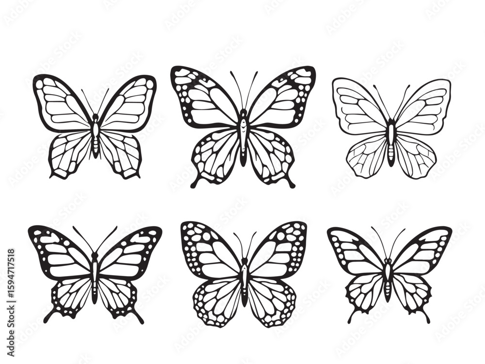 Naklejka premium butterfly line art illustration