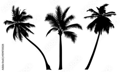 Set of black palm tree silhouettes in different shapes and angles. Tropical vector elements isolated on transparent background. Perfect for beach designs, summer themes, and exotic landscapes