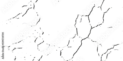 A close-up, high-contrast, black and white photograph showcasing a network of fine, intricate cracks on a textured surface, resembling dry earth or aged paint.