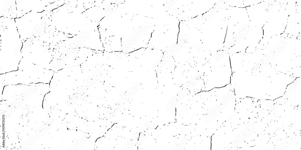 A close-up, high-contrast, black and white photograph showcasing a network of fine, intricate cracks on a textured surface, resembling dry earth or aged paint. A close-up, high-contrast, black and white photograph showcasing a network of fine, intricate cracks on a textured surface, resembling dry earth or aged paint.