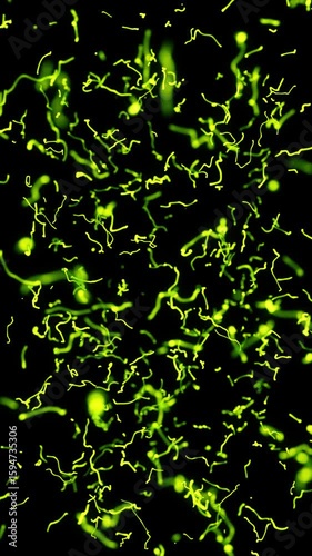 Neon Strings Motion Loop. Neon green strings chaotic motion, on black background, 10 seconds loop animation.
