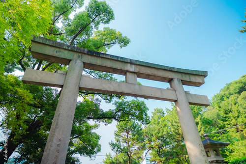 Bilde på lerret Wakayama Prefecture Gokoku-ji Shrine