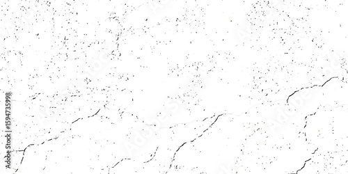 A close-up, high-contrast, black and white photograph showcasing a network of fine, intricate cracks on a textured surface, resembling dry earth or aged paint.