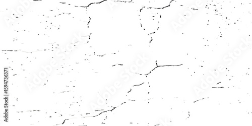 A close-up, high-contrast, black and white photograph showcasing a network of fine, intricate cracks on a textured surface, resembling dry earth or aged paint.