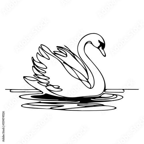 Graceful Swan on Water