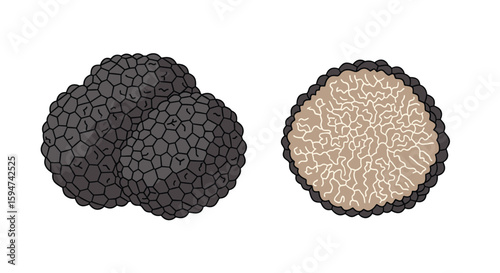Gourmet culinary delights black truffles and their earthy flavor profile for sophisticated palates