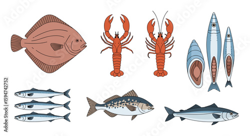 A collection of diverse seafood and marine delicacies ready for culinary preparation and enjoyment