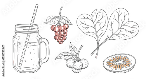 Fresh fruit and vegetable ingredients for healthy drinks and smoothies in a sketch style
