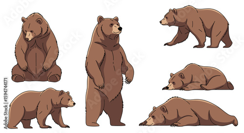 Collection of various brown bear poses in dynamic natural wildlife settings