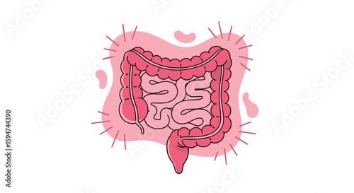 Understanding your digestive system the intricate network of gut health and function