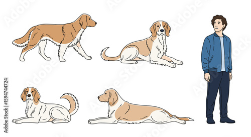 Diverse canine companions posed with a standing human showing various breeds and poses in outdoor setting