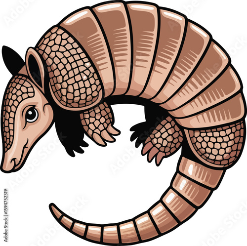 An illustrated adorable armadillo in a curled position, showcasing its unique armored body transparent vector png