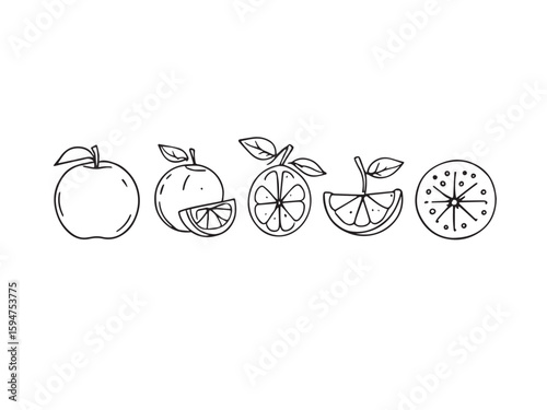 Line art of an orange collection