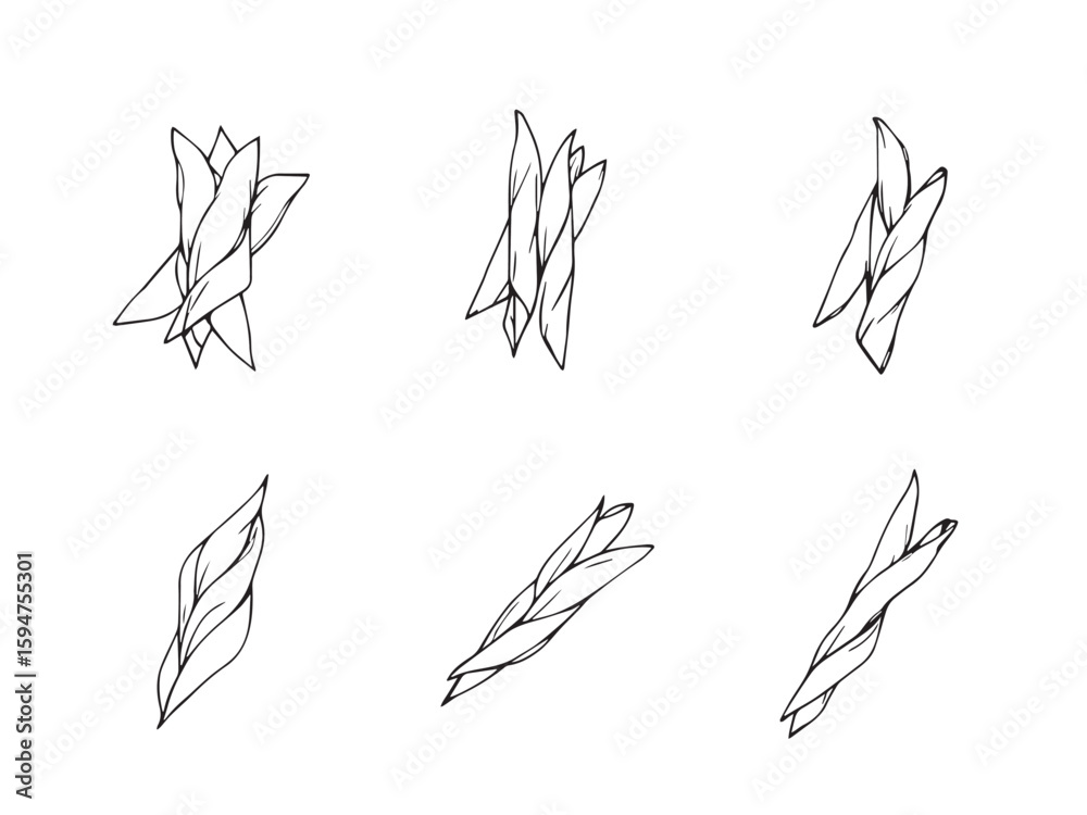 Obraz premium Penne pasta vector illustration line art