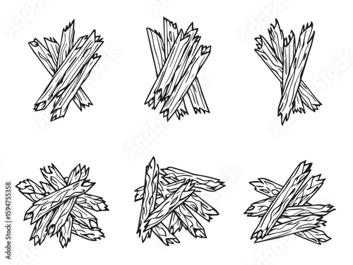 penne pasta line art illustration