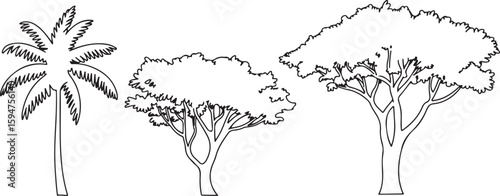 Three Black Line Drawing Trees Side View Set Palm Tree Deciduous Trees Traced Silhouette Vector Graphic