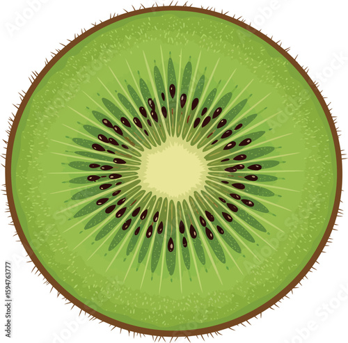 Kiwi slice vibrant green fruit with seeds
