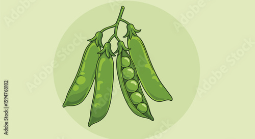 Fresh Green Peas in Pods