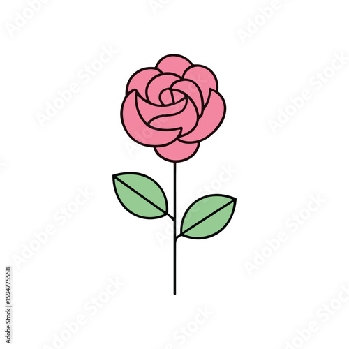 Beautiful Pink Rose Flower with Green Leaves Illustration