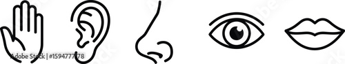 Five human senses icon set in line art style on transparent background