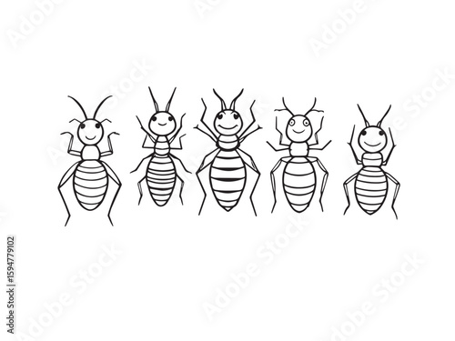 Termite hand drawn insect vector