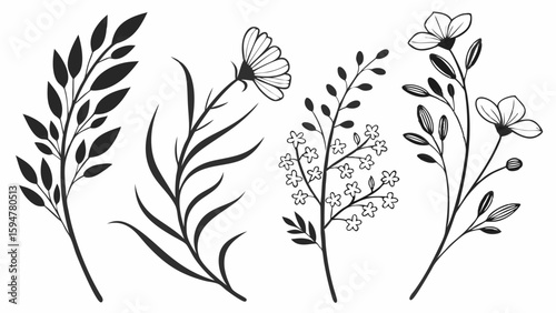 Elegant black and white botanical line-art set featuring diverse hand-drawn floral branches, minimalist flower outlines, and leaf sprigs for modern graphic design projects