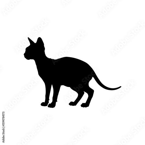 Sphynx cat silhouette vector flat illustration design.
